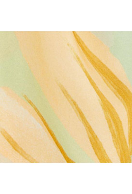 image-539d98b8af7a4639a78aefcf3fbfbc99