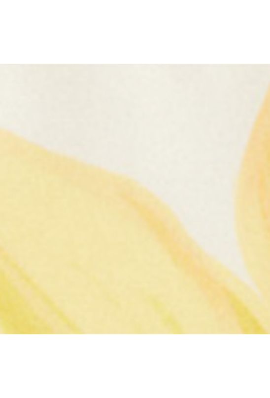 image-978143d4d7d5413d8581443f20b24706