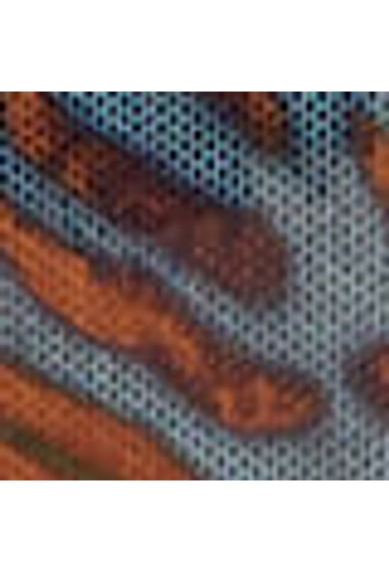 image-6aed6fcff66c4a1a984eff61c1f96aab