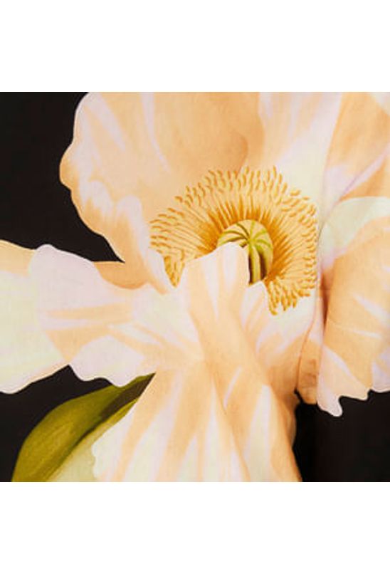 image-c6175650760748dbab324902211ba391